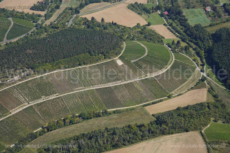 Luftaufnahme Weinberg bei Erlabrunn in Erlabrunn | Unterfranken, Bayern