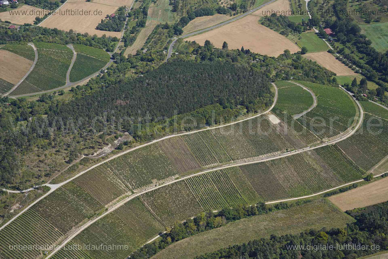Luftaufnahme Weinberg bei Erlabrunn in Erlabrunn | Unterfranken, Bayern