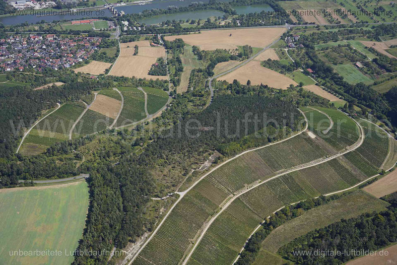 Luftaufnahme Weinberg bei Erlabrunn in Erlabrunn | Unterfranken, Bayern