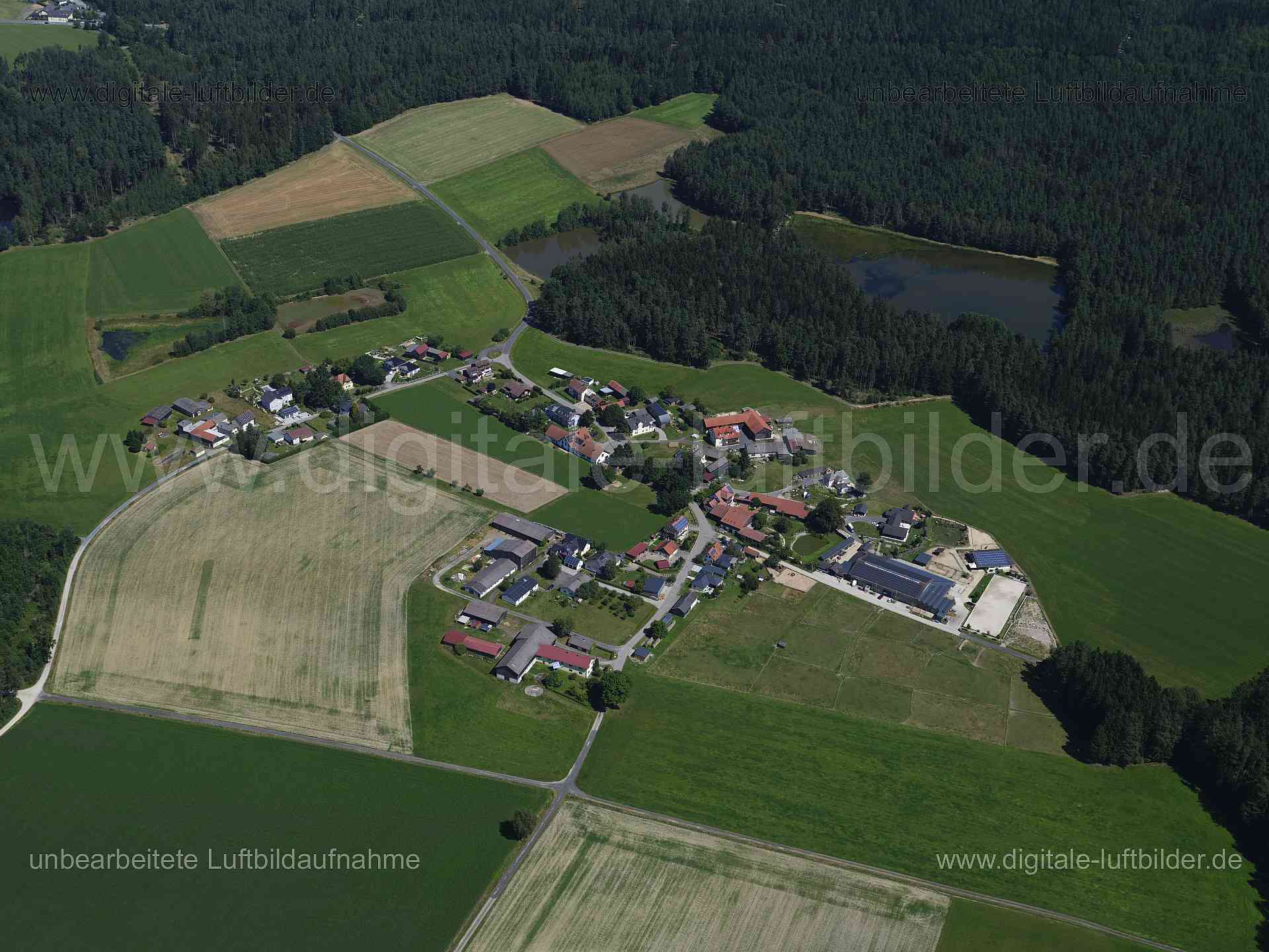 Luftaufnahme Münchsgrün in Leonberg | Oberpfalz, Bayern