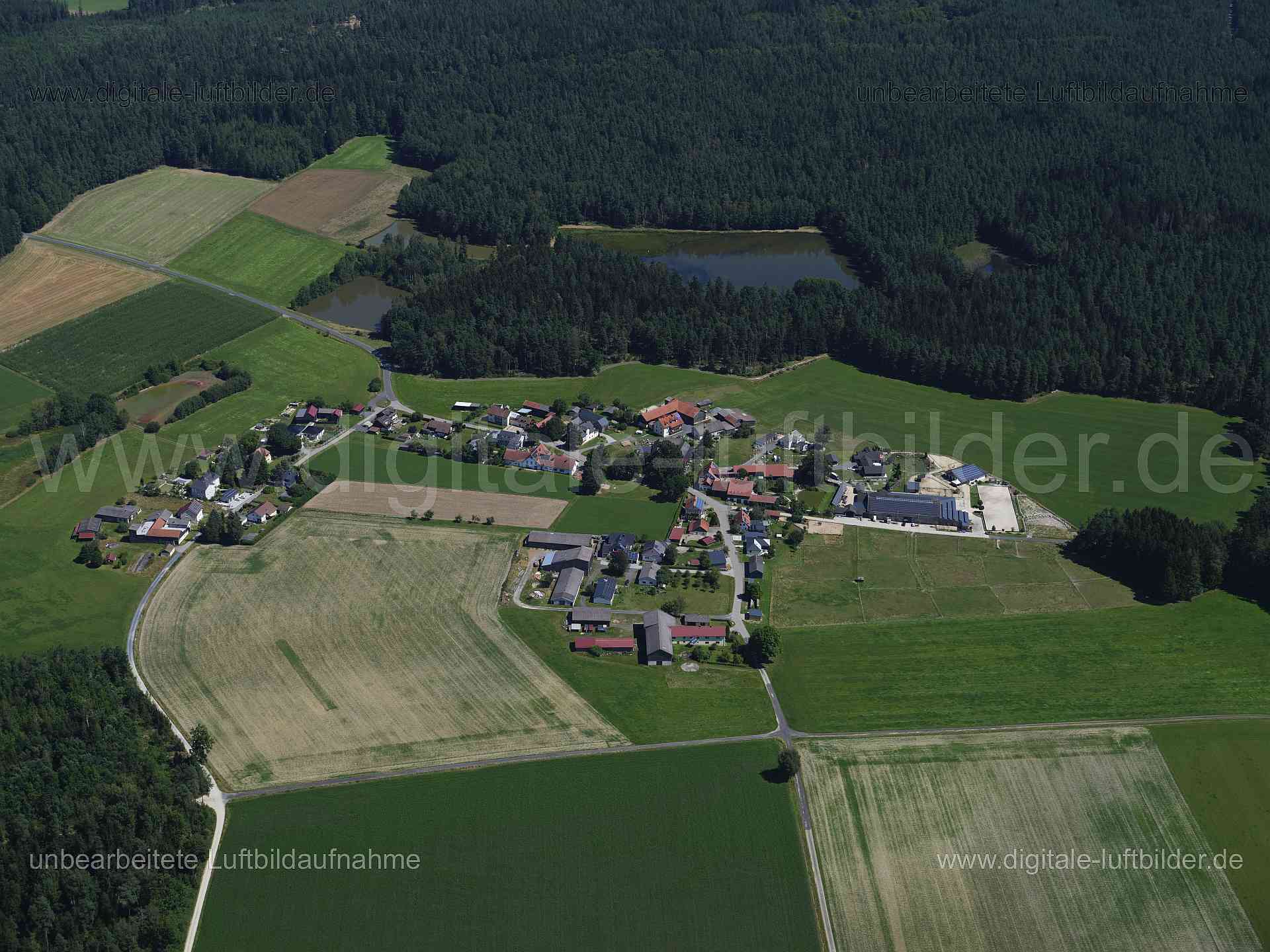Luftaufnahme Münchsgrün in Leonberg | Oberpfalz, Bayern