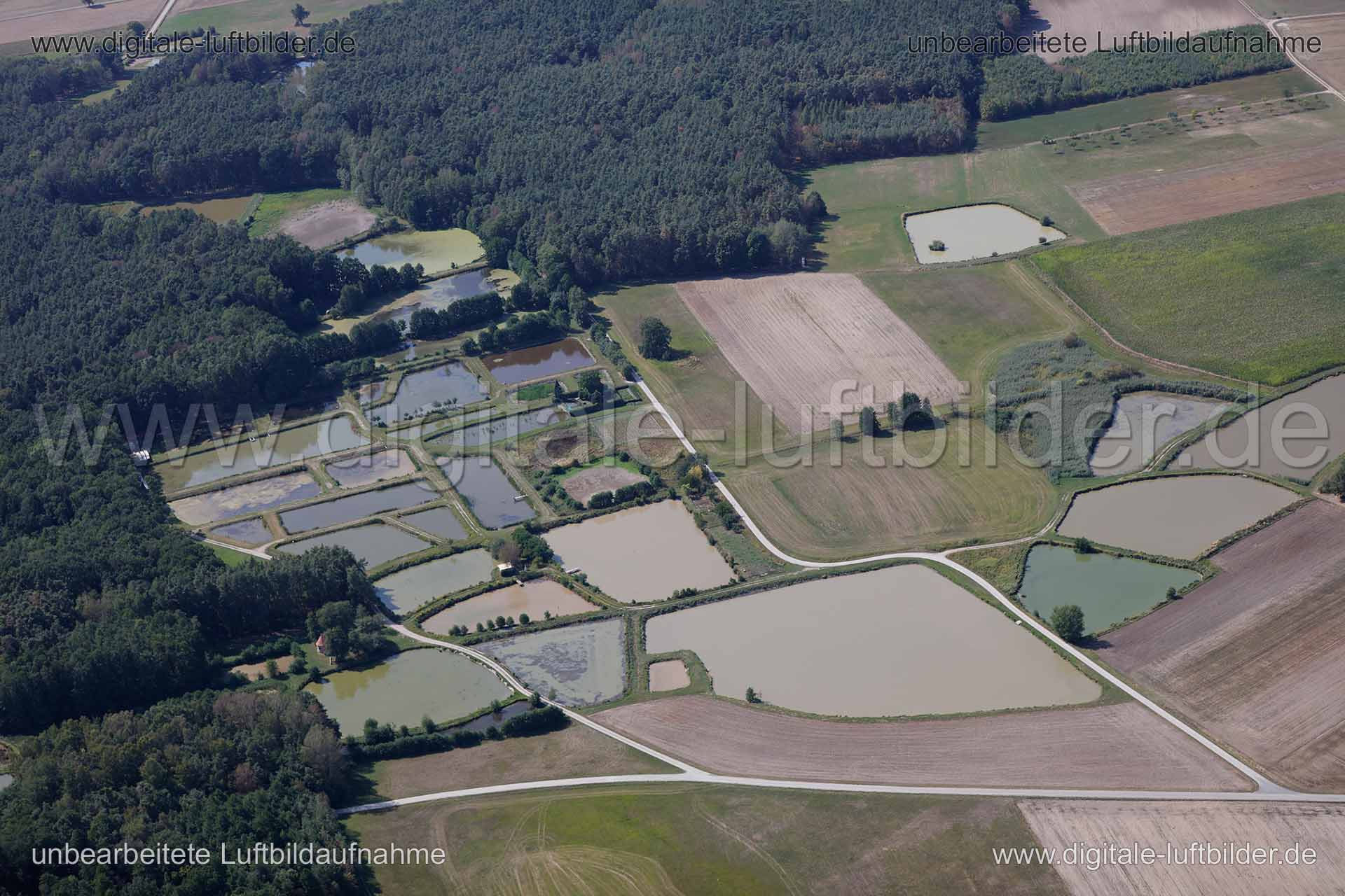 Luftaufnahme Karpfenweiher in Aischgrund | Mittelfranken, Bayern