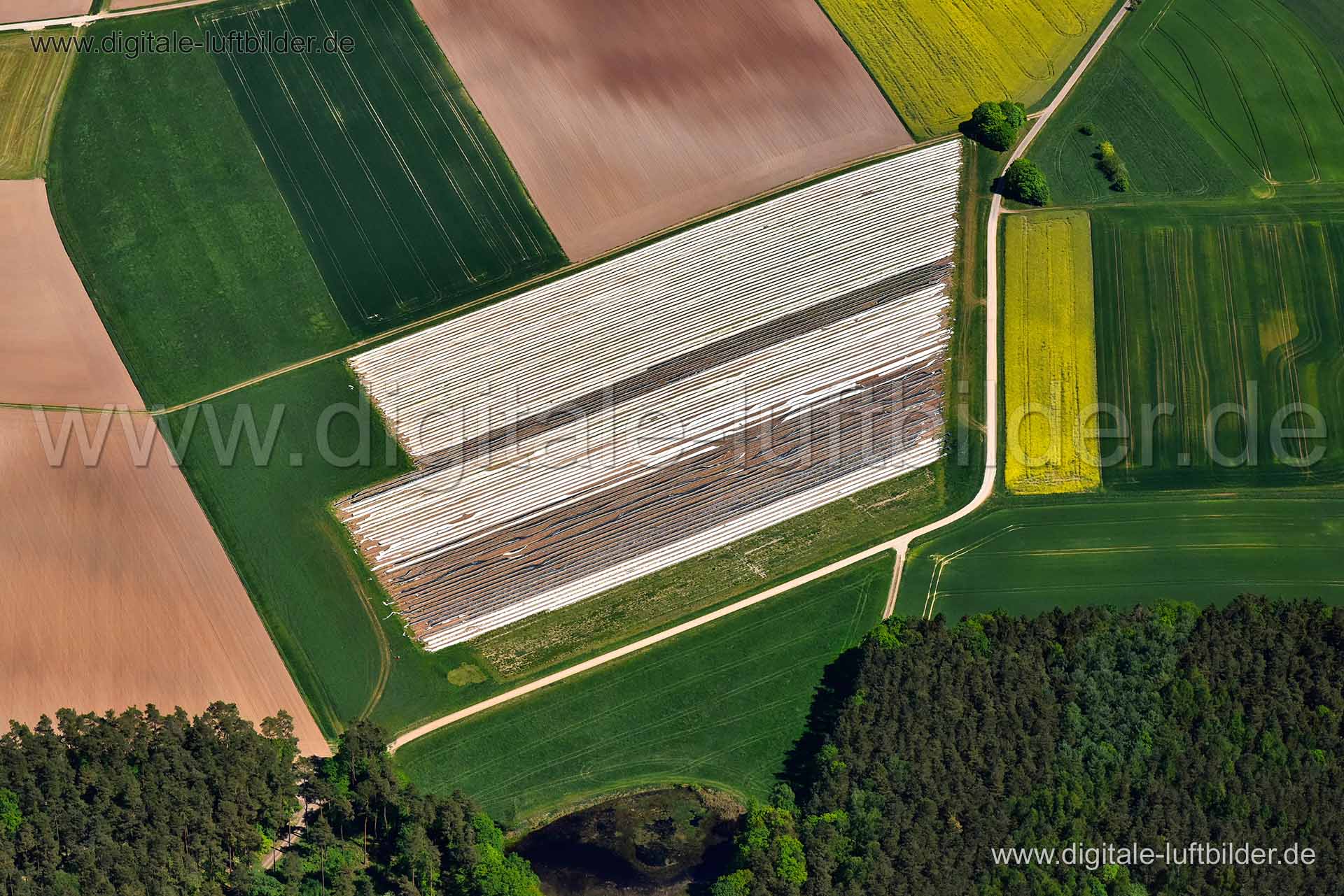 Luftaufnahme Landwirtschaft in Aurachtal | Mittelfranken, Bayern