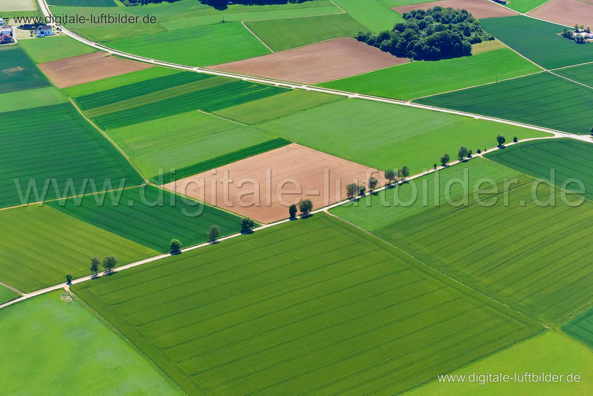 Luftaufnahme Feldweg in Deining | Oberpfalz, Bayern