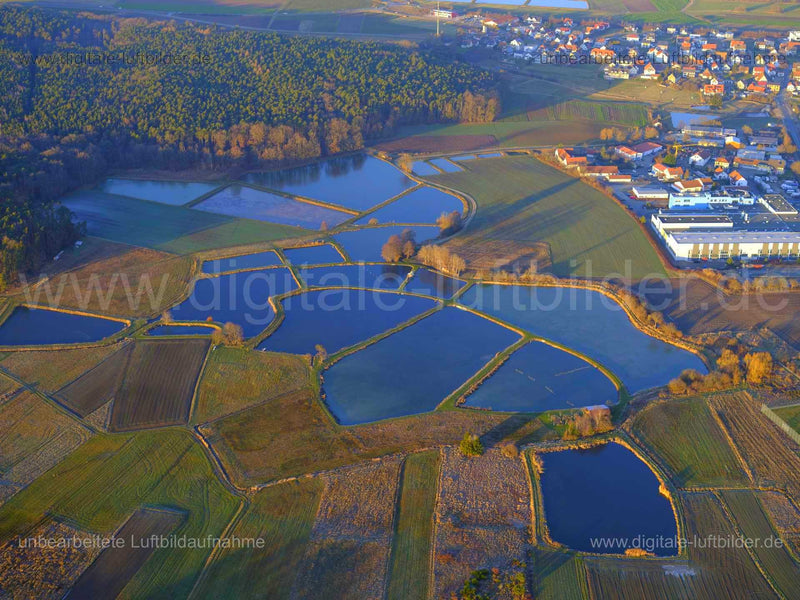 Luftaufnahme Karpfenweiher in Erlangen | Mittelfranken, Bayern