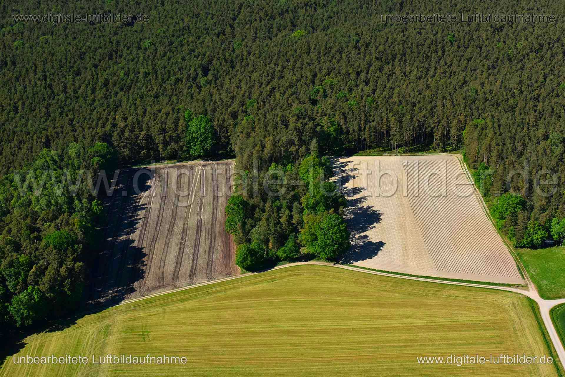 Titel: Landwirtschaft, Bildnummer: n269410, Ort / Stadt: Erlangen, (Land)Kreis: kreisfreie Stadt Erlangen, Regierungsbezirk: Mittelfranken, Bundesland: Bayern, Aufnahmedatum: 06.05.2018, Schlagwörter: Luftbild, Luftbilder, Luftbildfotografie, Luftaufnahme, Luftbildaufnahme, Luftfoto, Vogelperspektive, Vogelansicht, Deutschland, Schräg- und Senkrecht-Luftaufnahmen, Orthofotografie, Landwirtschaft bei Erlangen, Acker, Äcker, Wald, Forst, Feldweg, Landwirtschaft, Monat: Mai, Jahreszeit: Sommer, Tag