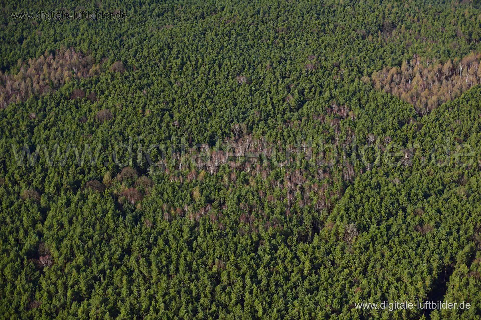 Luftaufnahme Mischwald in Erlangen | Mittelfranken, Bayern