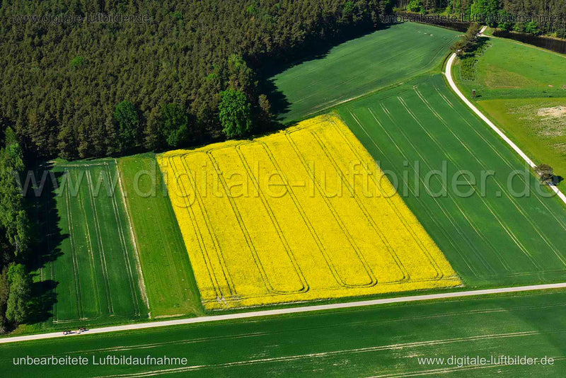 Luftaufnahme Rapsfeld in Erlangen | Mittelfranken, Bayern