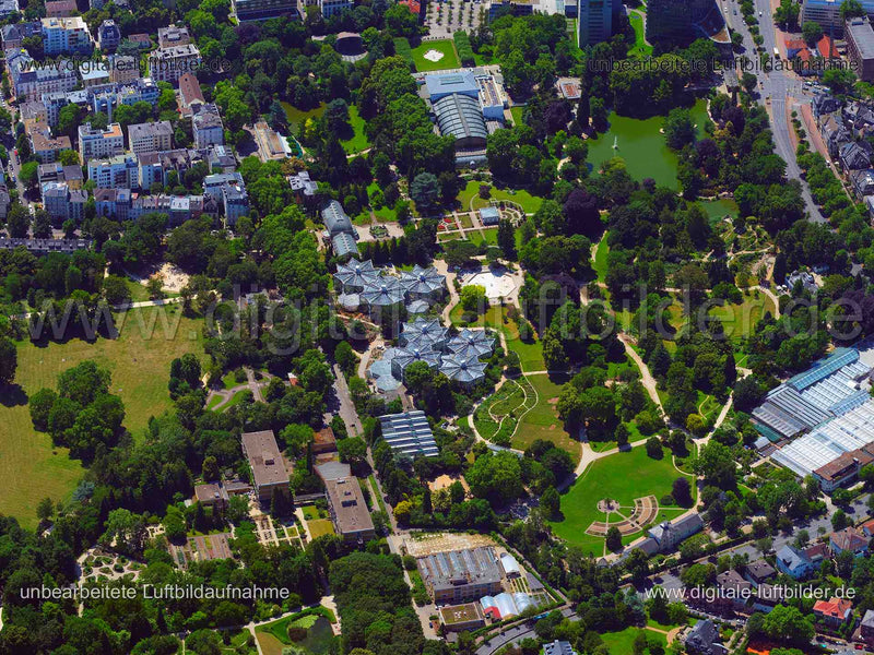 Luftaufnahme Palmengarten in Frankfurt am Main | Darmstadt, Hessen