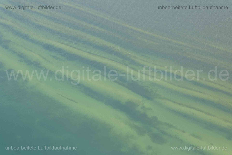 Luftaufnahme Friedrichshafen in Friedrichshafen | Bodenseekreis, Baden-Württemberg