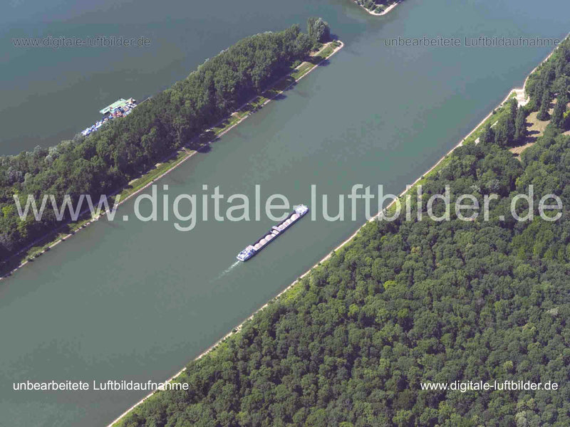 Luftaufnahme Schifffahrt am Rhein in Heidelberg | Karlsruhe, Baden-Württemberg