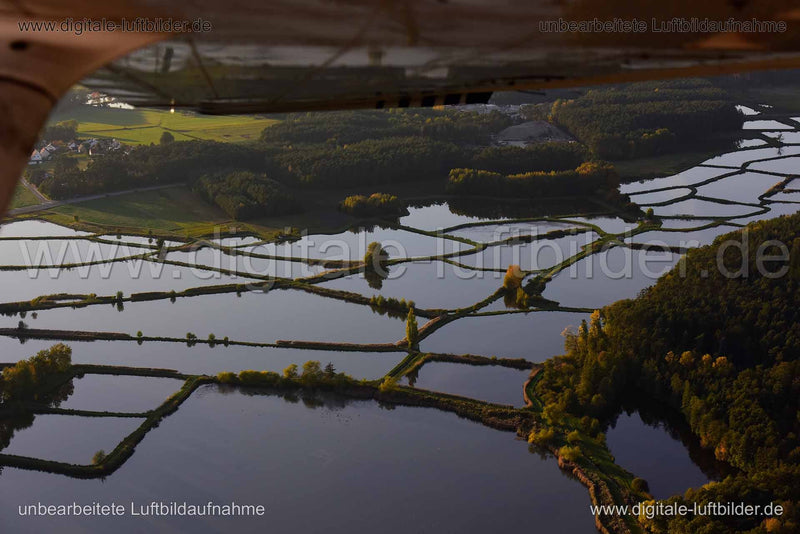 Luftaufnahme Karpfenweiher in Herzogenaurach | Mittelfranken, Bayern