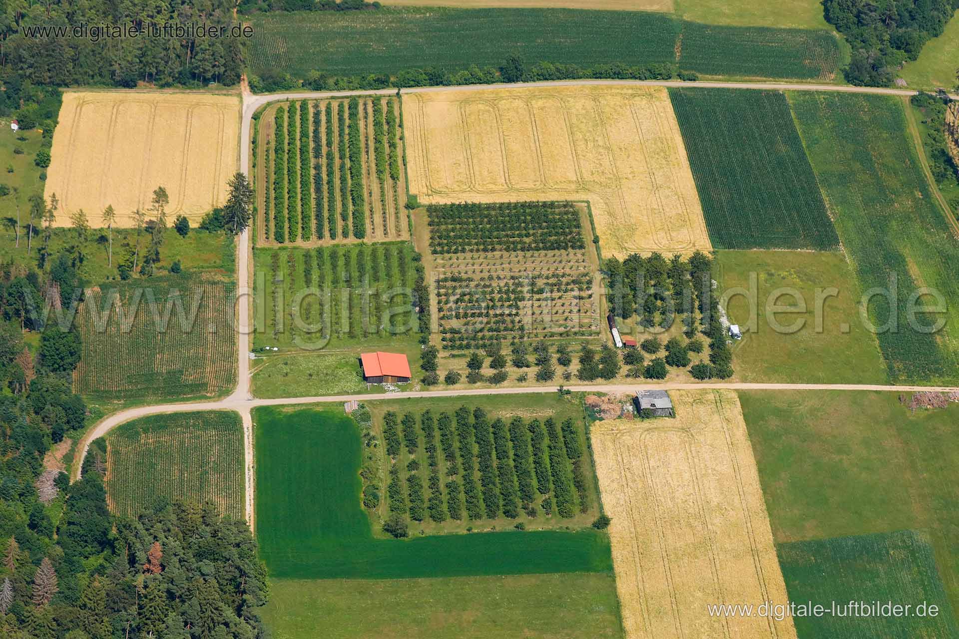 Luftaufnahme Obstbaumplantage in Hiltpoltstein | Oberfranken, Bayern