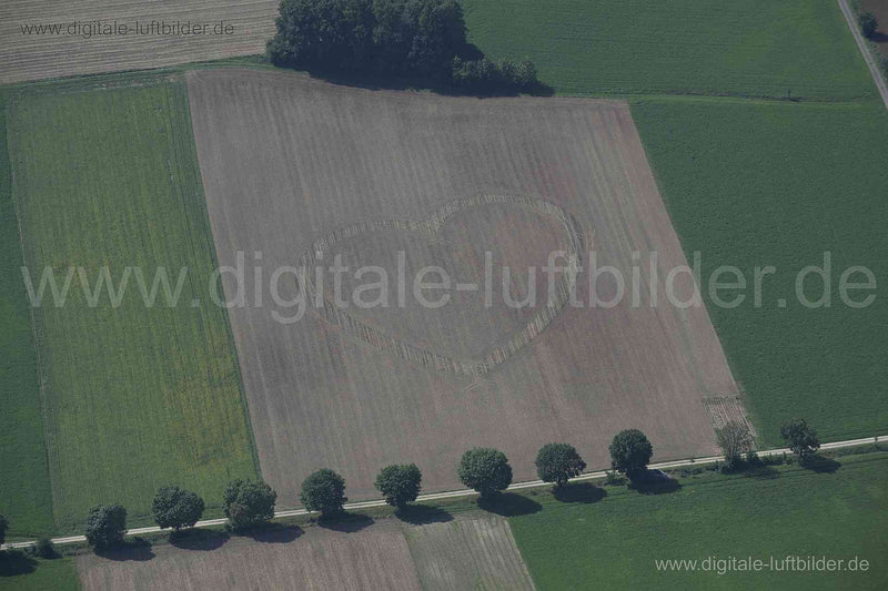 Luftaufnahme Herz im Kornfeld in Laaber | Oberpfalz, Bayern