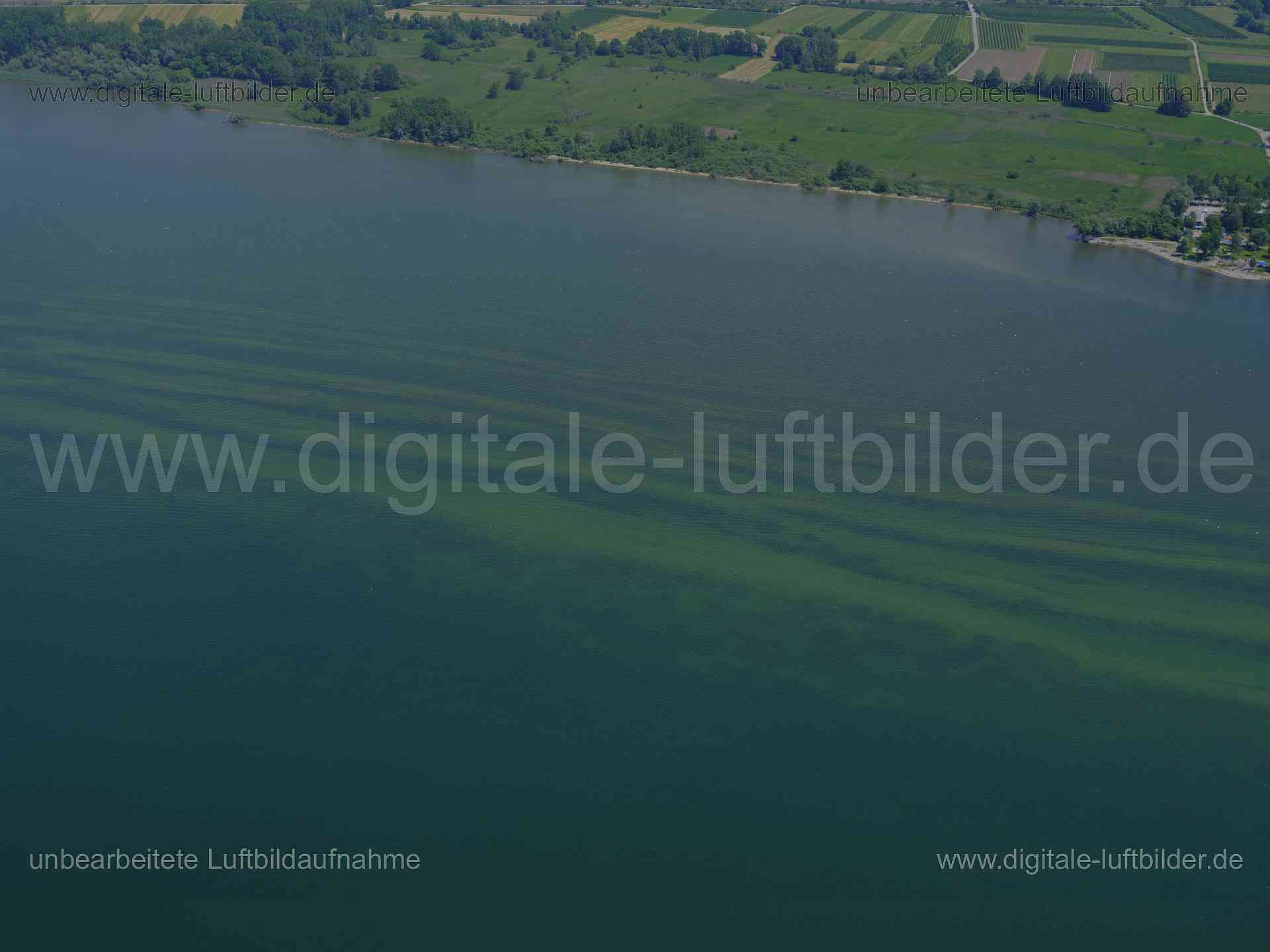 Luftaufnahme Bodensee in Lindau | Schwaben, Bayern