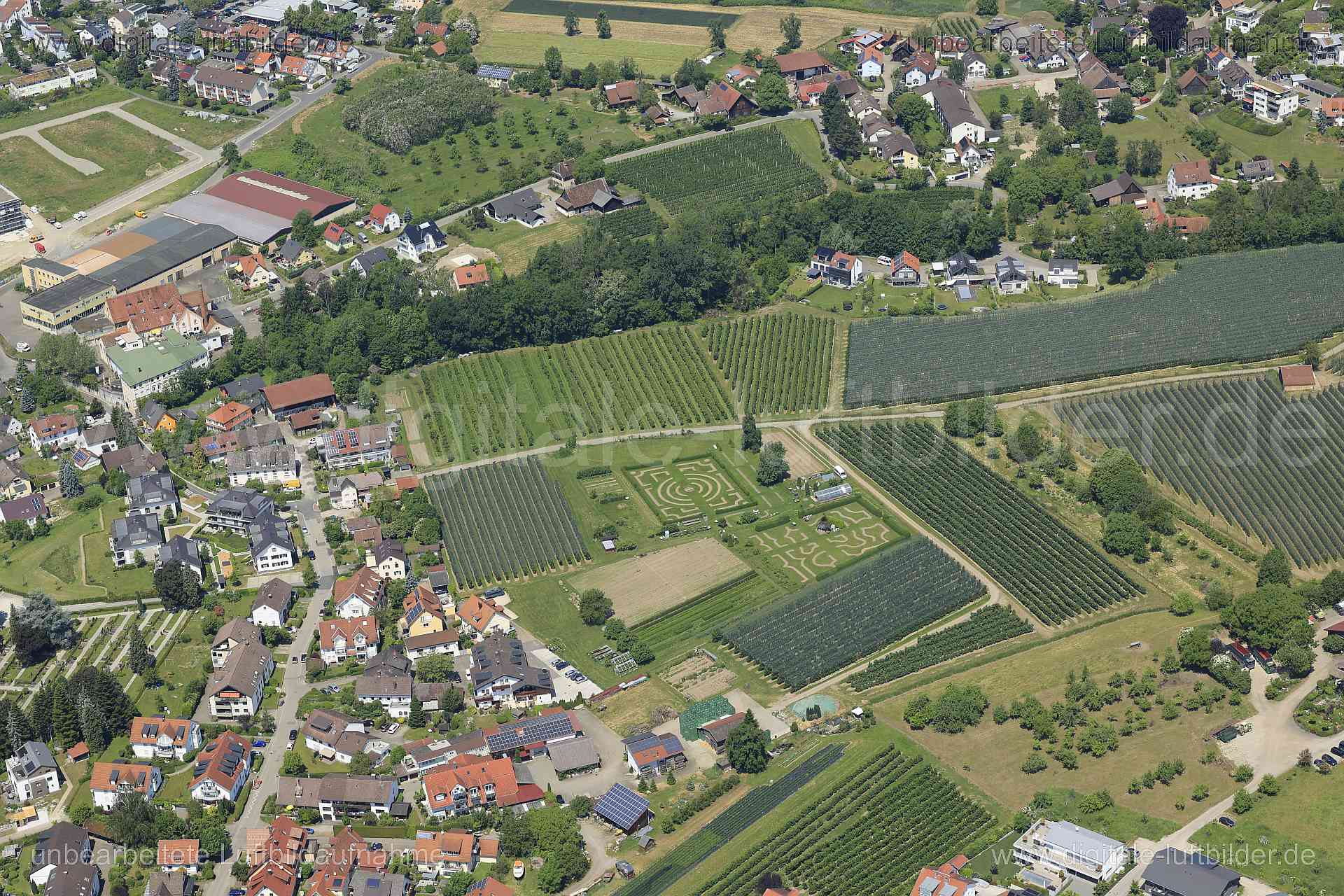 Luftaufnahme Lindauer Dahlienschau in Lindau | Schwaben, Bayern
