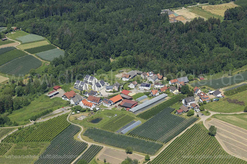 Luftaufnahme Streitelsfingen in Lindau | Schwaben, Bayern