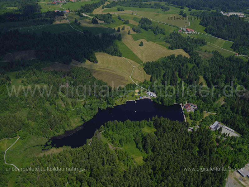 Luftaufnahme Waldsee in Lindenberg im Allgäu | Schwaben, Bayern