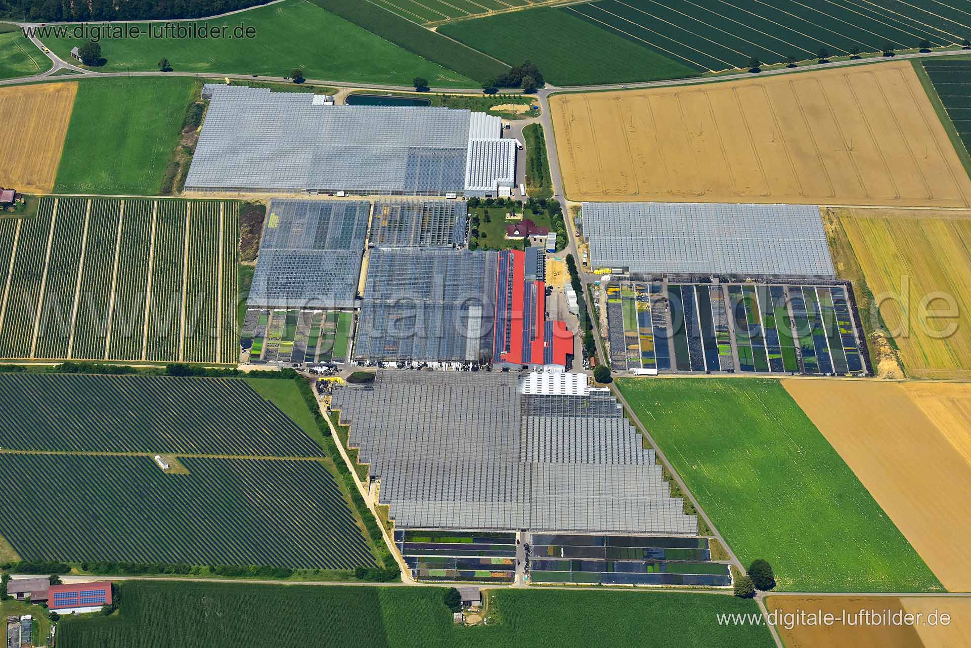 Luftaufnahme Gärtnerei in Münster (Lech) | Schwaben, Bayern