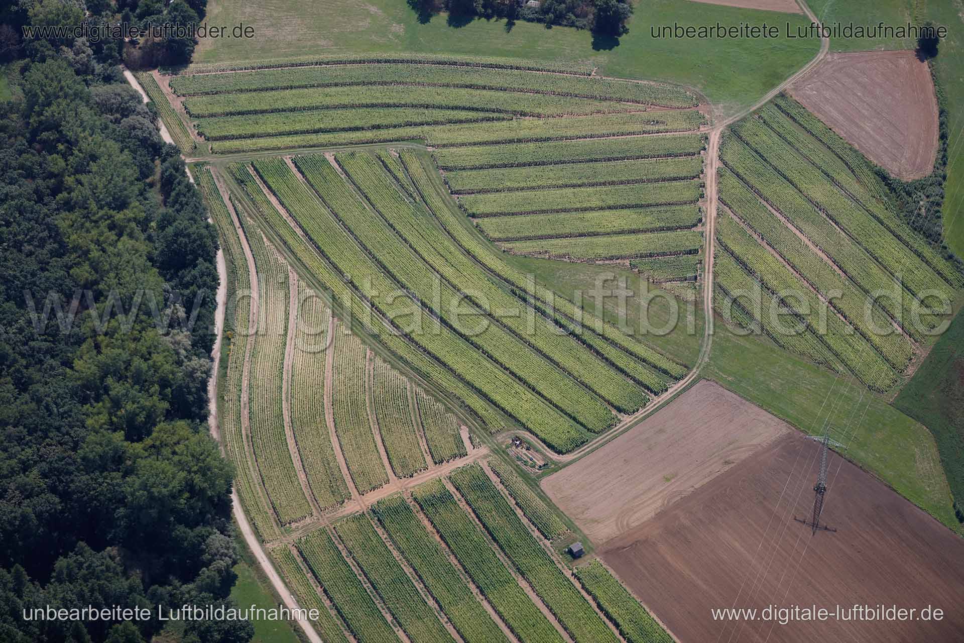 Luftaufnahme Äcker in Nürnberg | Mittelfranken, Bayern