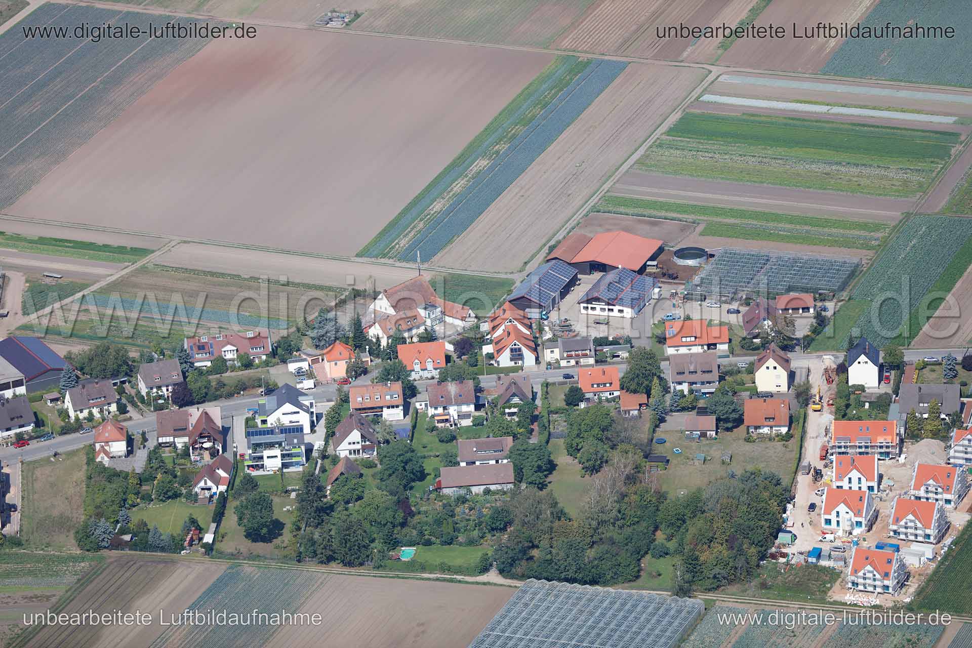 Titel: Höfles, Bildnummer: c152120, Ort / Stadt: Nürnberg, (Land)Kreis: kreisfreie Stadt Nürnberg, Regierungsbezirk: Mittelfranken, Bundesland: Bayern, Aufnahmedatum: 26.08.2015, Schlagwörter: Luftbild, Luftbilder, Luftbildfotografie, Luftaufnahme, Luftbildaufnahme, Luftfoto, Vogelperspektive, Vogelansicht, Deutschland, Schräg- und Senkrecht-Luftaufnahmen, Orthofotografie, Höfles, Höfleser Hauptstraße, Landwirtschaft, Knoblauchsland, Monat: August, Jahreszeit: Sommer, Tageszeit: Mittag / Nachmit