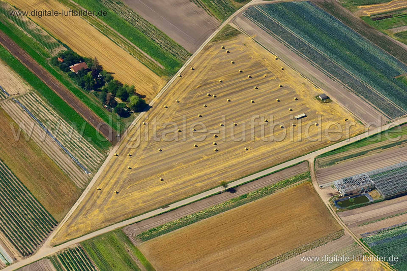 Luftaufnahme Kornfeld im Knoblauchsland in Nürnberg | Mittelfranken, Bayern