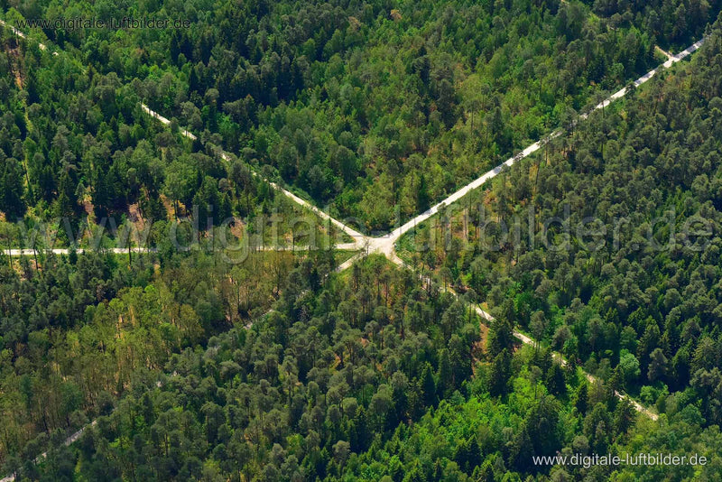 Luftaufnahme Waldweg in Nürnberg | Mittelfranken, Bayern