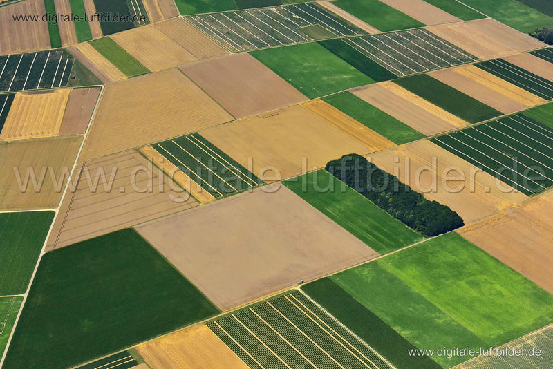 Luftaufnahme Landwirtschaft bei Rain in Rain | Schwaben, Bayern