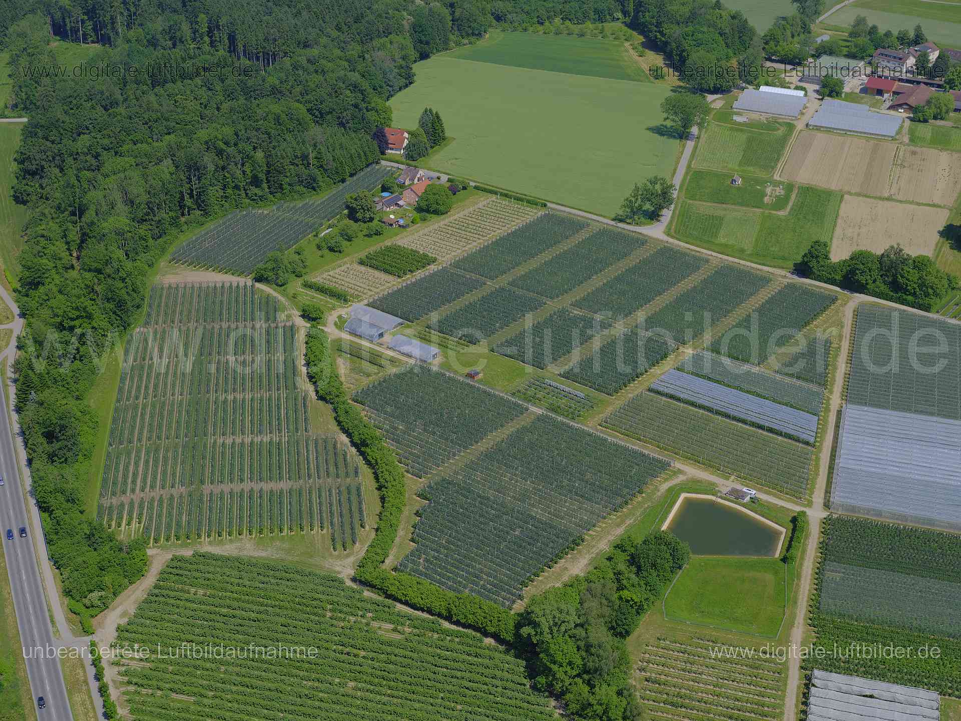 Luftaufnahme Oberzell (Weinanbau) in Ravensburg | Tübingen, Baden-Württemberg