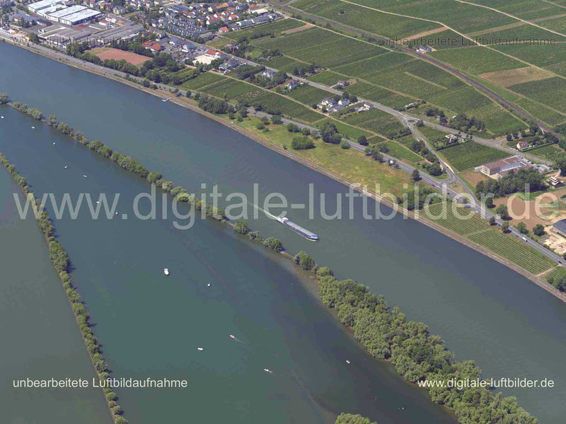 Luftaufnahme Schifffahrt am Rhein in Rhein | Darmstadt, Hessen