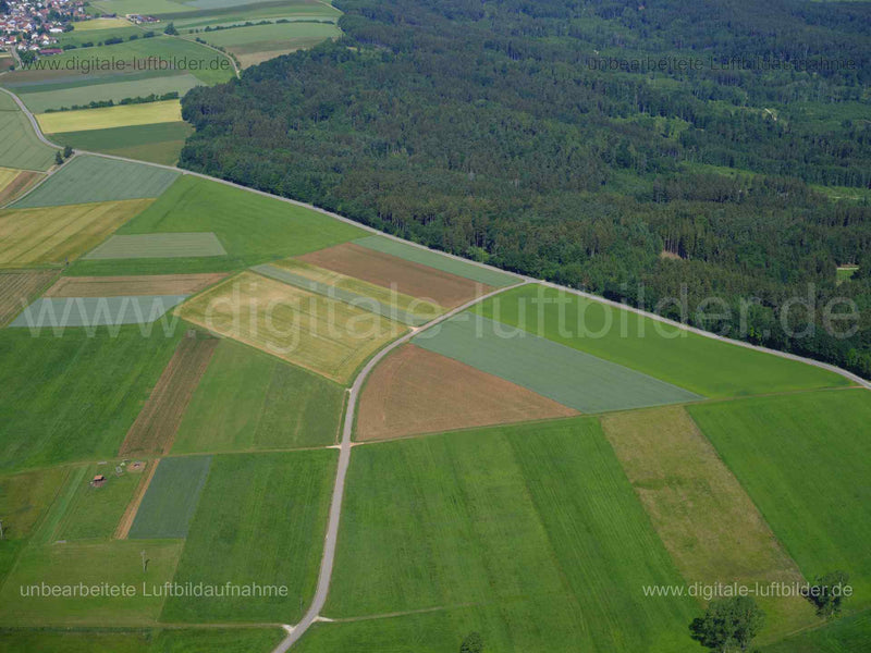 Luftaufnahme Thalmannsfeld in Thalmässing | Mittelfranken, Bayern