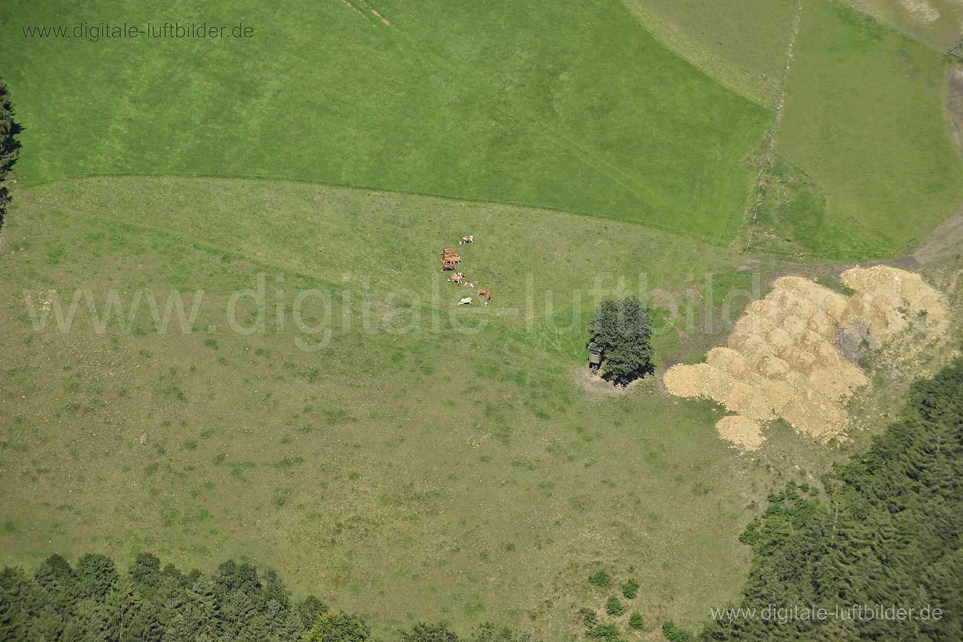 Luftaufnahme Innerthann in Tuntenhausen | Oberbayern, Bayern