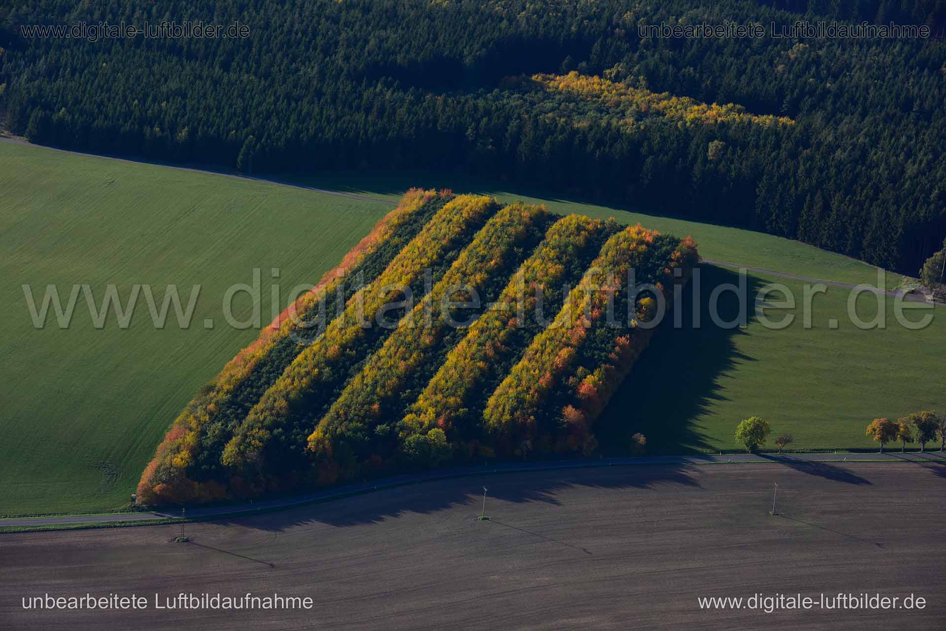 Luftaufnahme Aufforstung in unbekannt | Thüringen, Thüringen