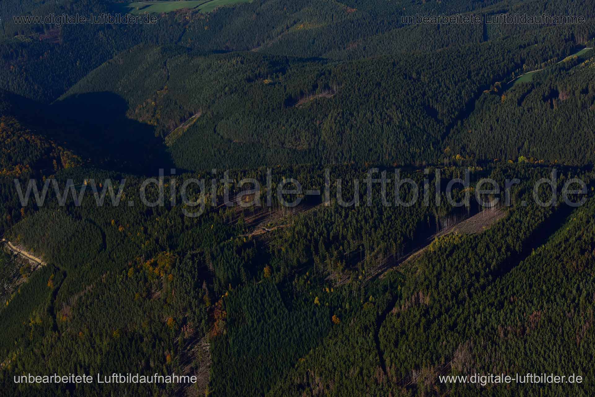 Luftaufnahme Forstwirtschaft in unbekannt | Thüringen, Thüringen