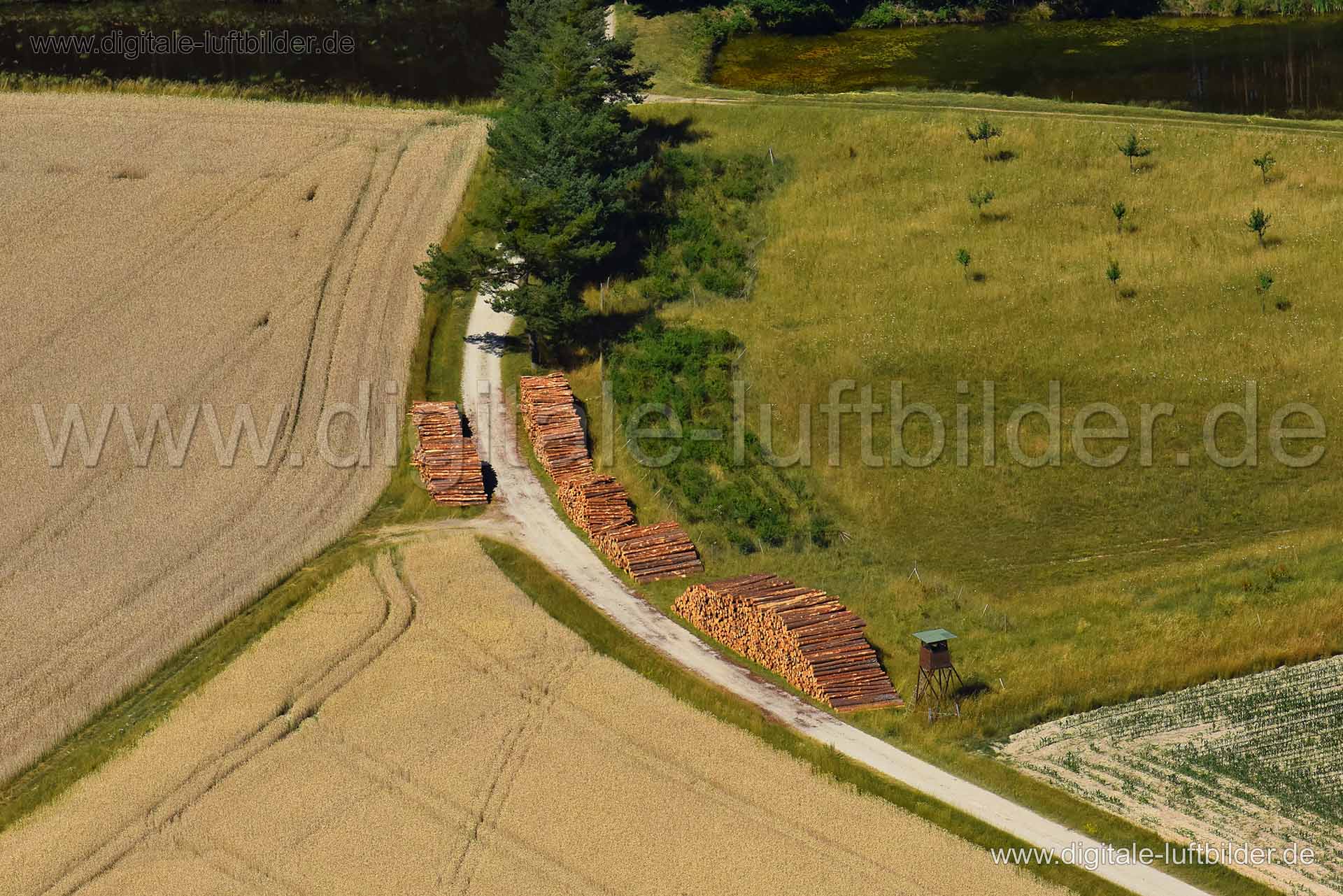Luftaufnahme Forstwirtschaft bei Hammerbach in unbekannt | Oberfranken, Bayern