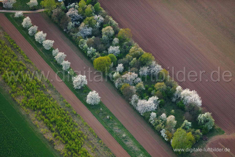 Luftaufnahme Frühling in unbekannt | Oberbayern, Bayern